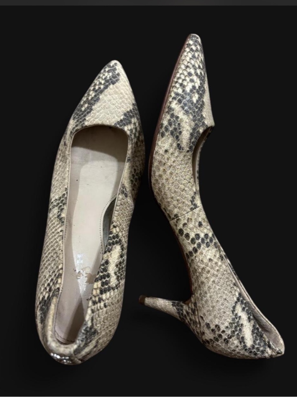 Coach Pointed Toe Snake-Print High Heels - Neutral